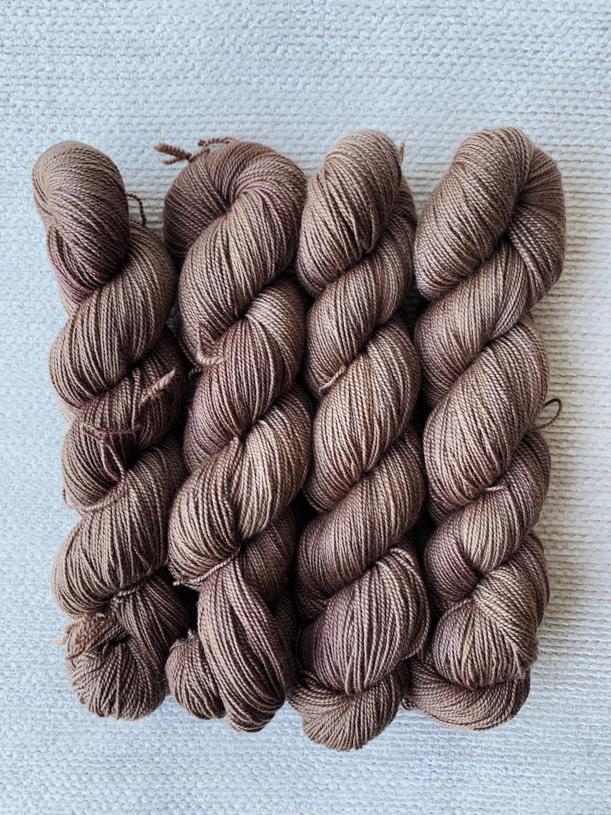 アスター - シルキーソックス