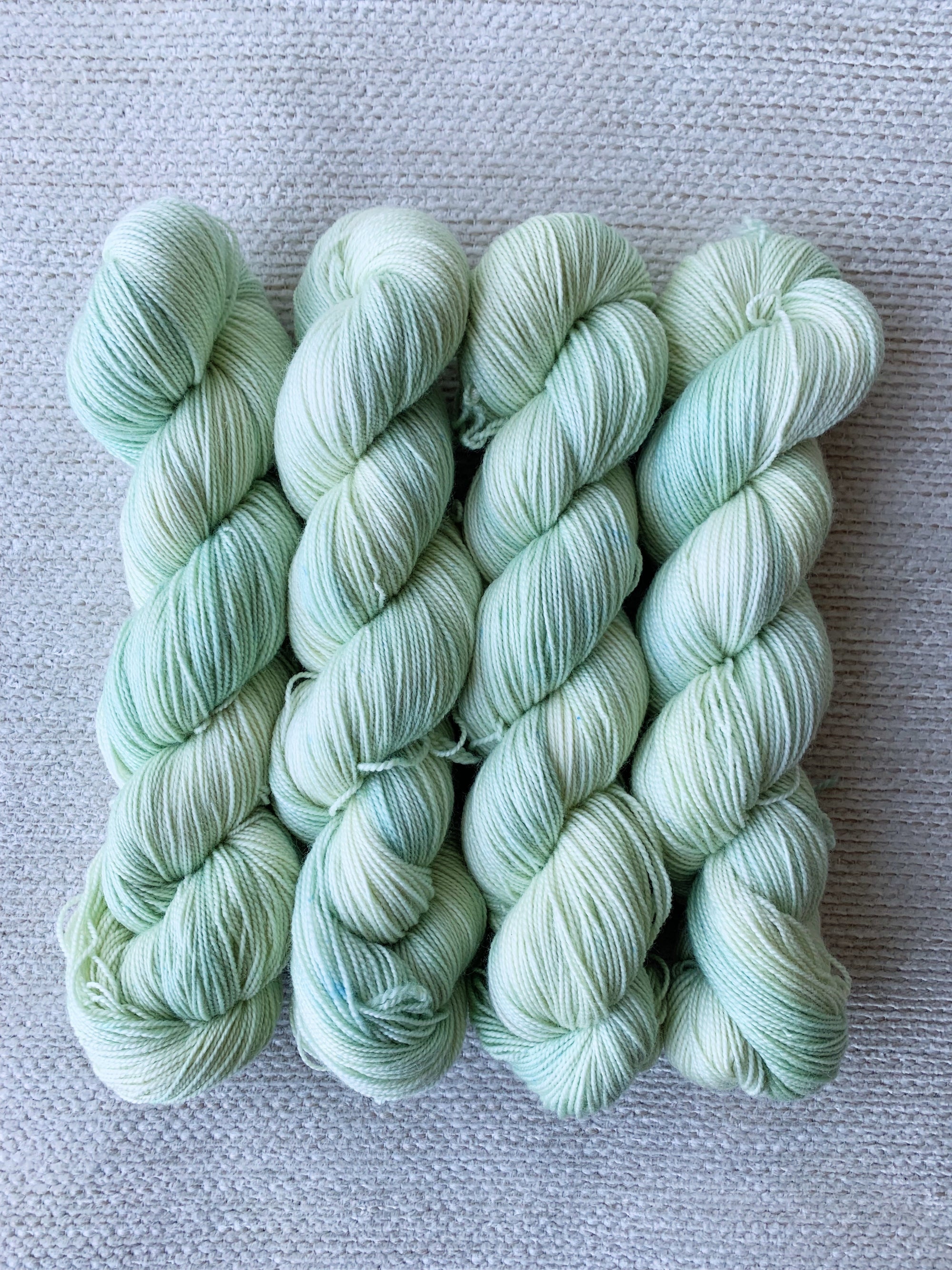 アスター - シルキーソックス