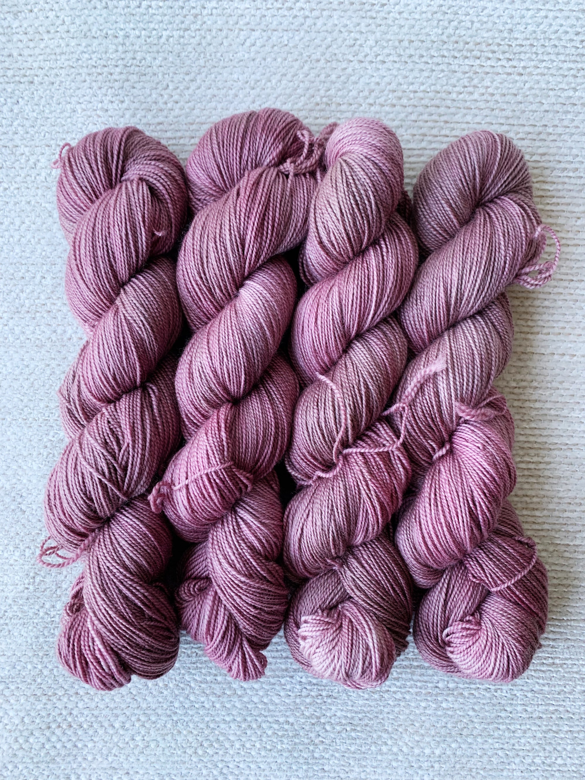 アスター - シルキーソックス