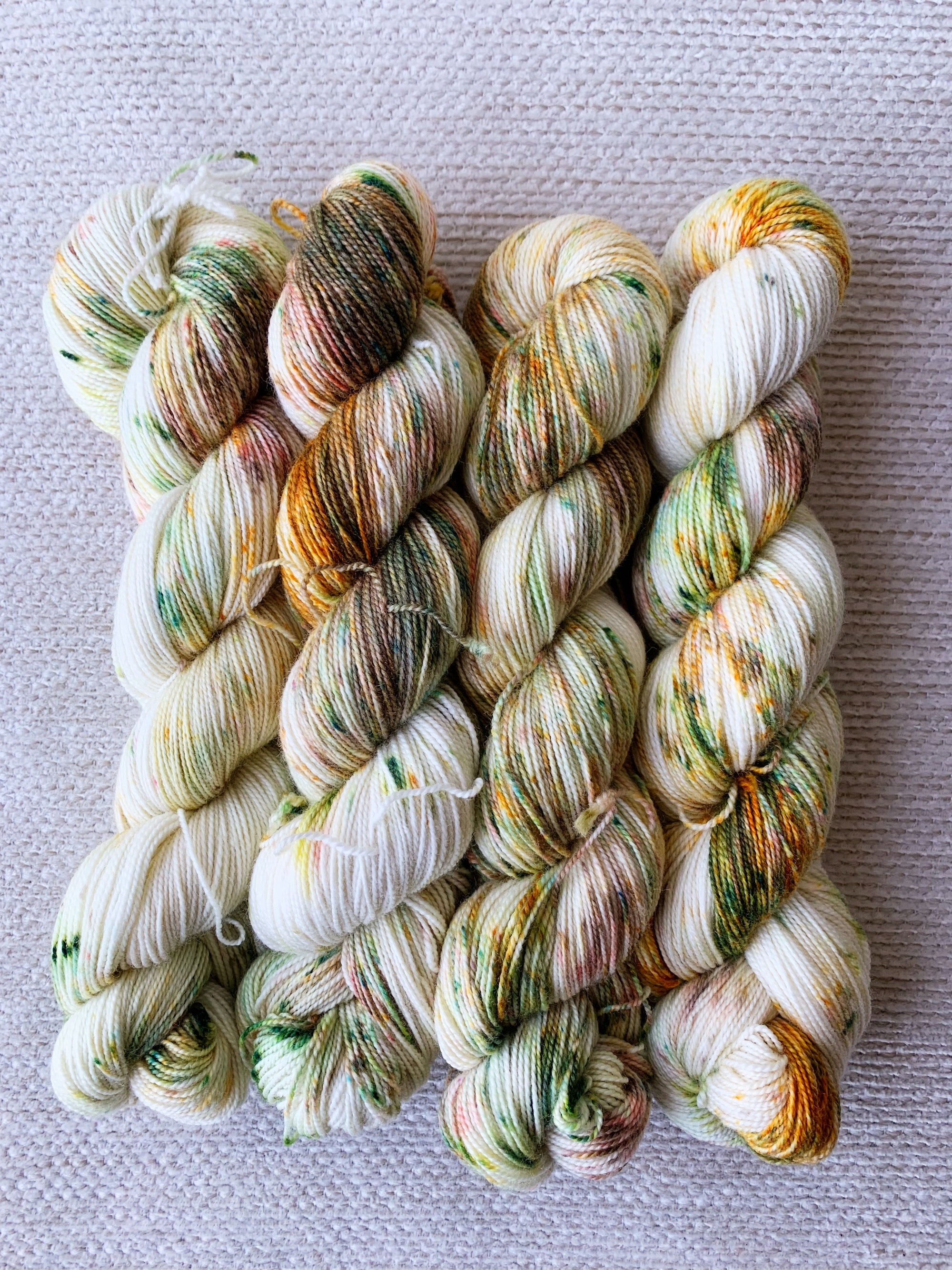 アスター - シルキーソックス