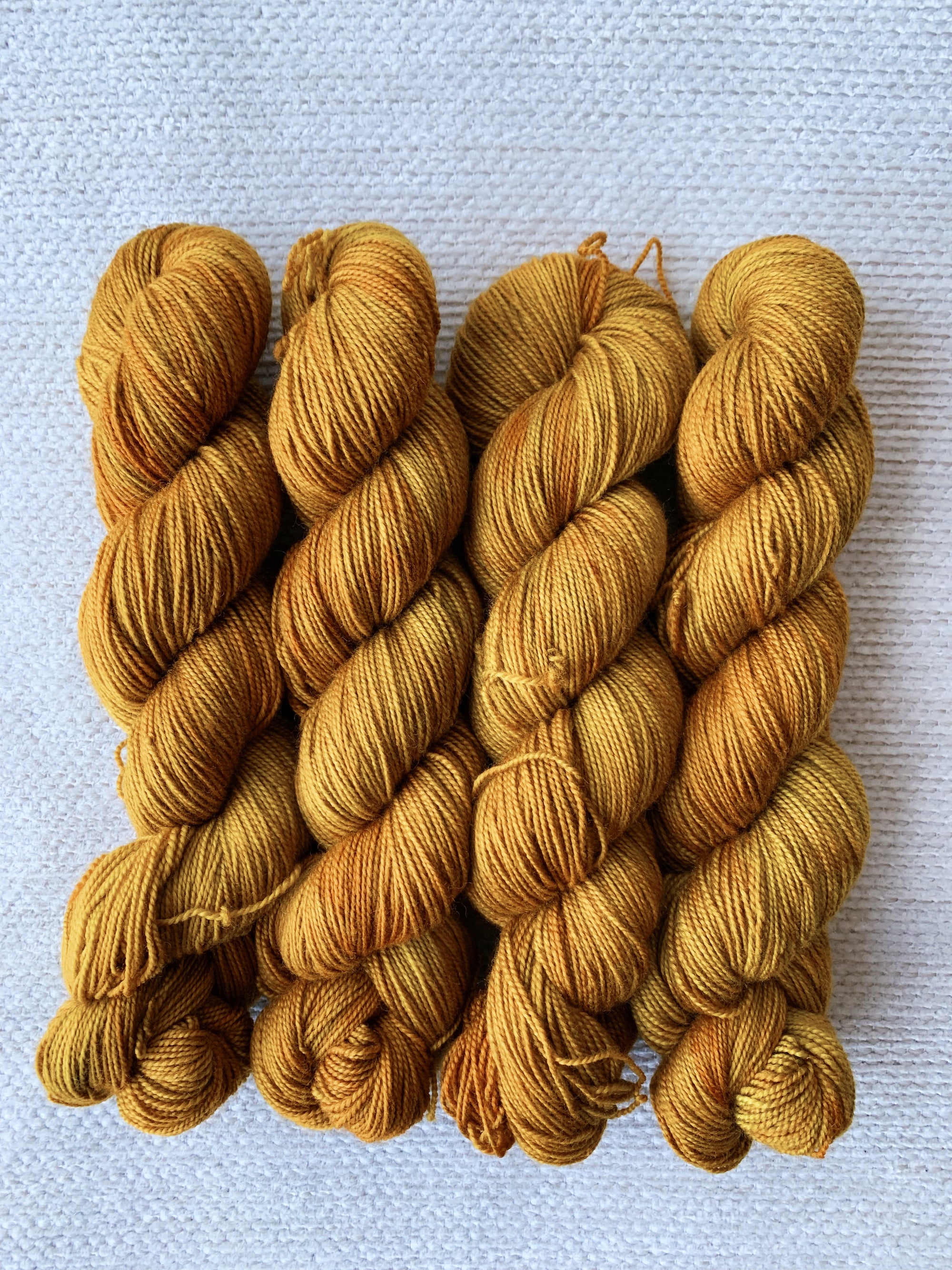 アスター - シルキーソックス