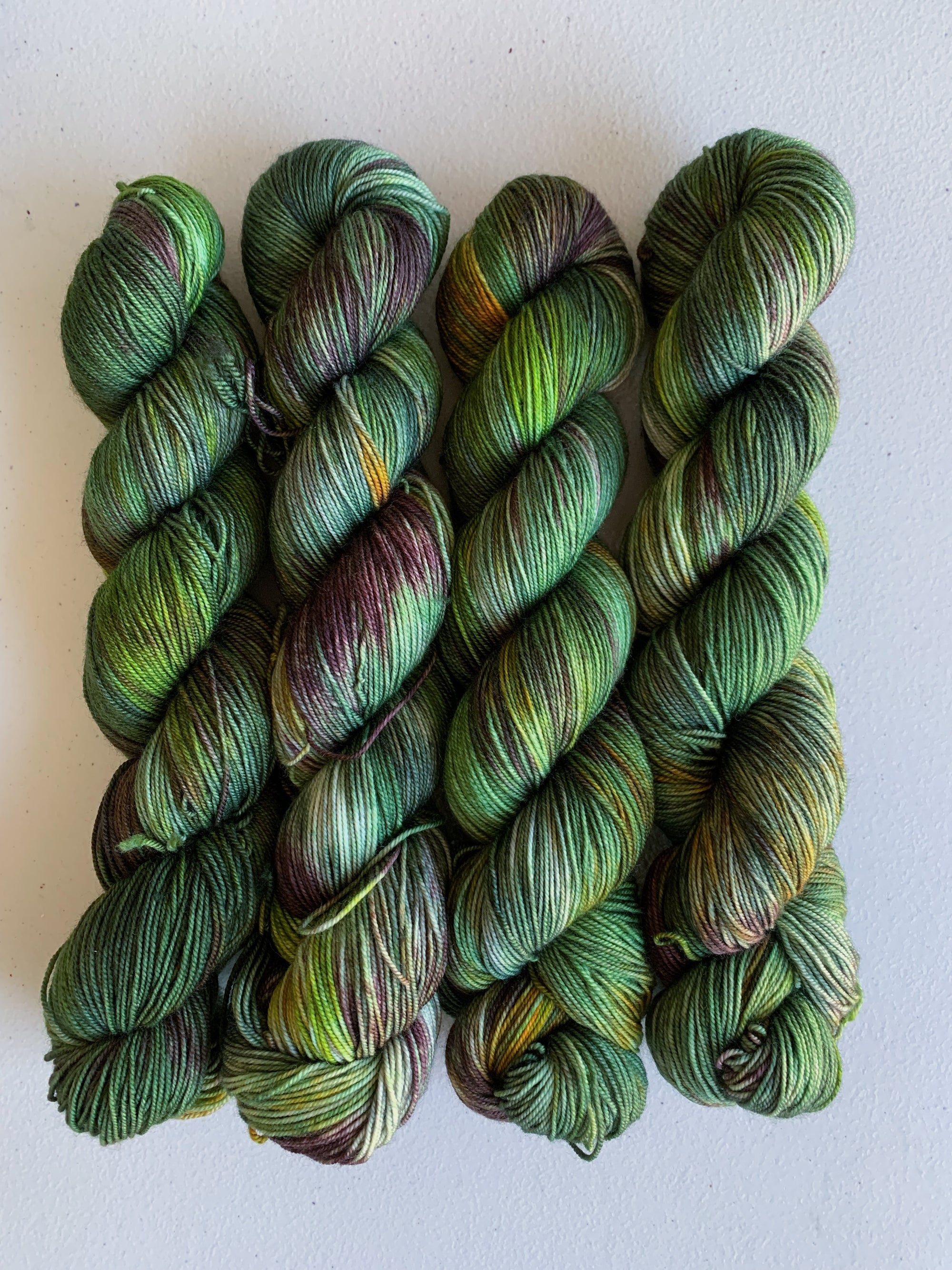 Conifer - Allure