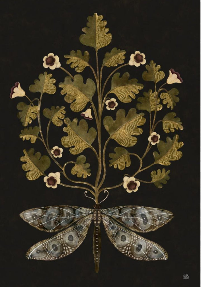 Lepidoptera - Sock Kit - Floral Folk Collection